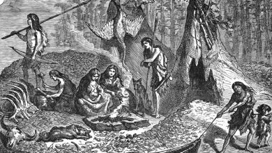 Photo of Восстановление жизни древних людей