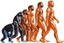 Photo of Антропология: изучение человека