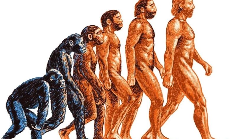 Photo of Антропология: изучение человека