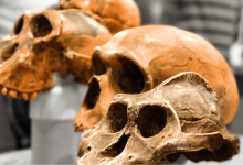 Photo of Физическая антропология: основные концепции