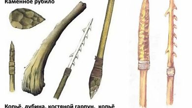 Photo of Изучение древних орудий труда