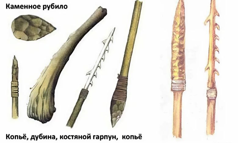 Photo of Изучение древних орудий труда